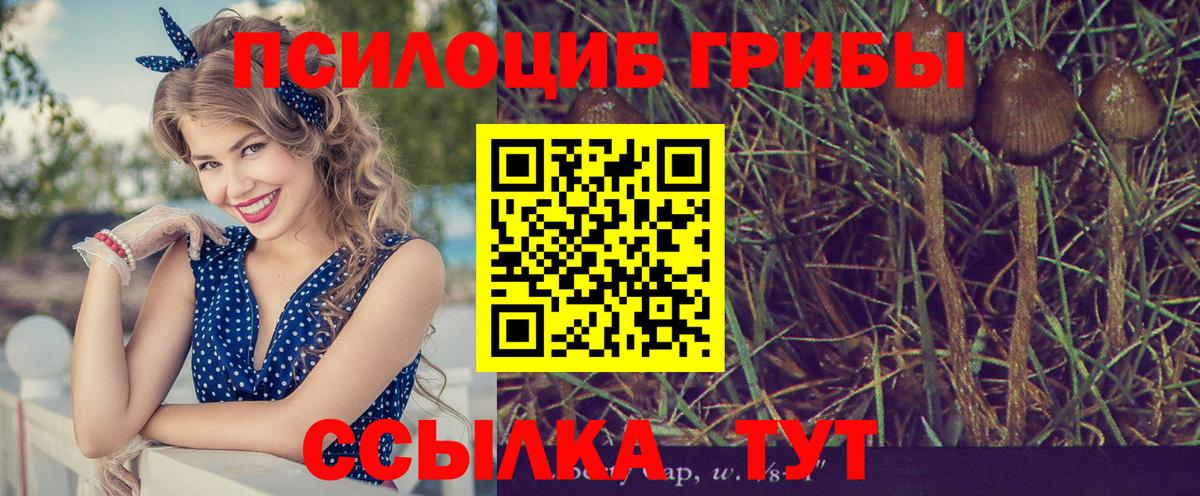 Псилоцибиновые грибы прущие грибы Маркс