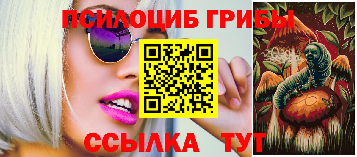 Маркс  Галлюциногенные грибы Psilocybe  Вход с VPN 